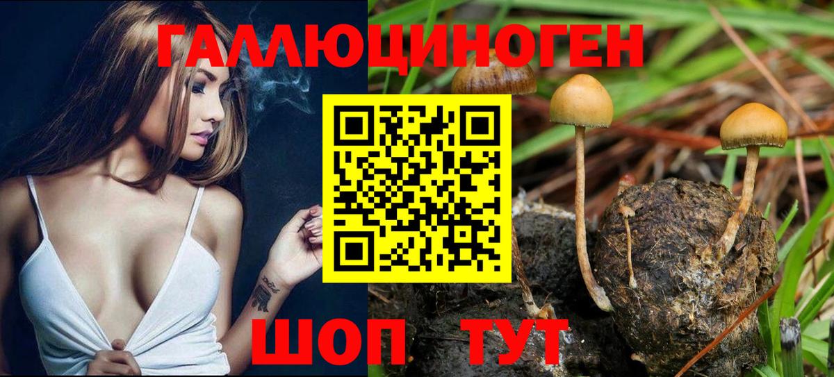 Азнакаево  Псилоцибиновые грибы MAGIC MUSHROOMS  Вход с VPN 